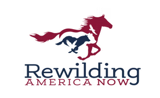 032_REWILDING_logo_Vector_Burgundy4C_FINAL