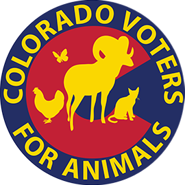 CVA LOGO B