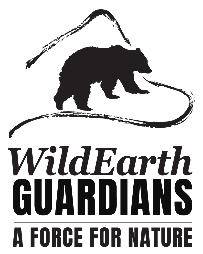 Guardians-Logo-2020 (1)