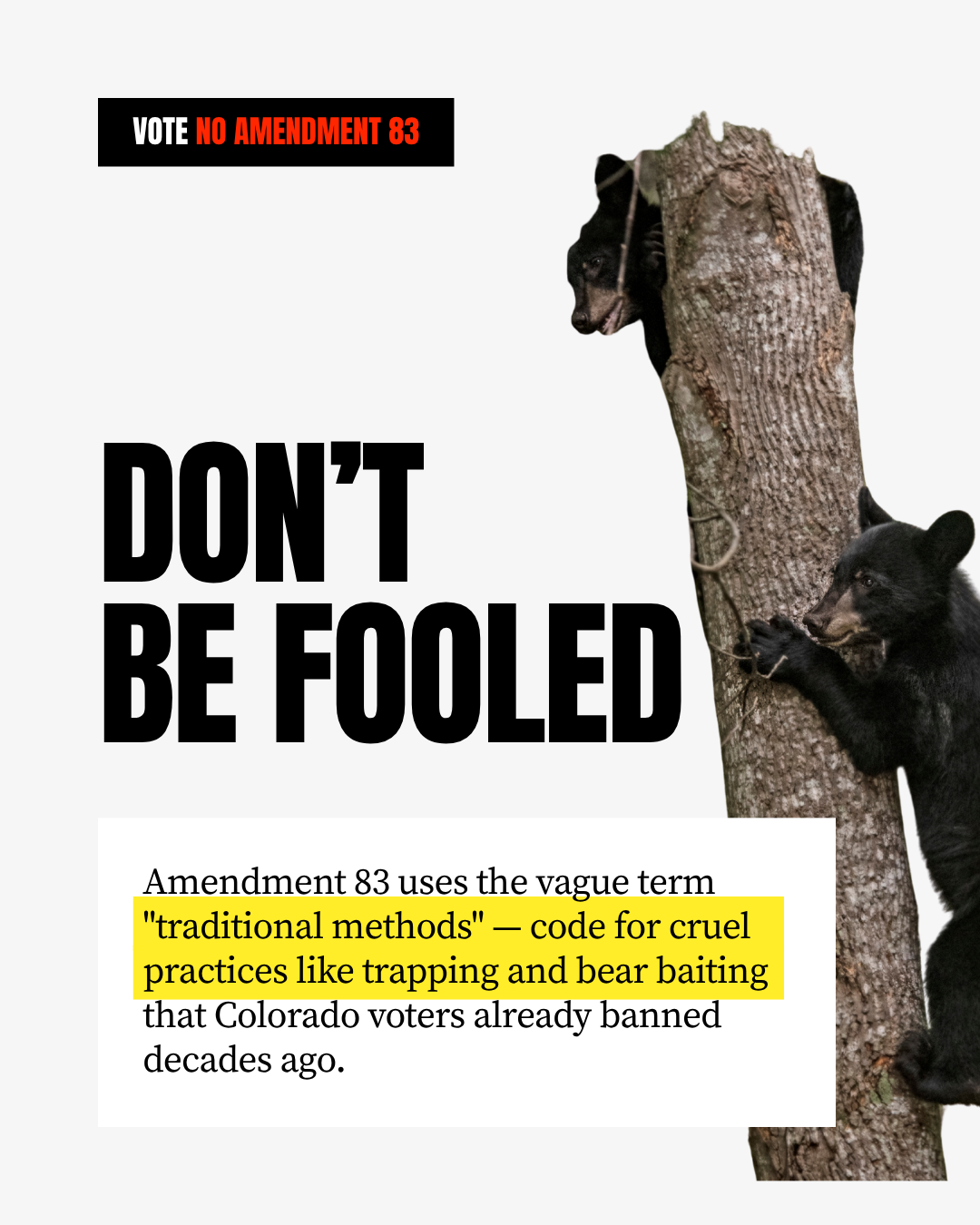 No-Amendment-83_Social-Post-3
