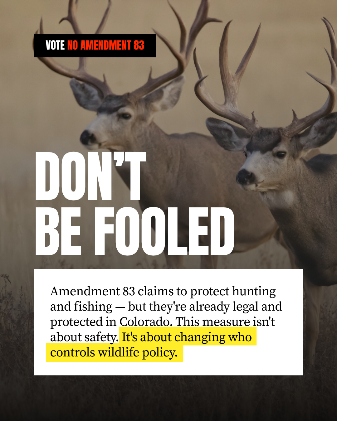No-Amendment-83_Social-Post-5