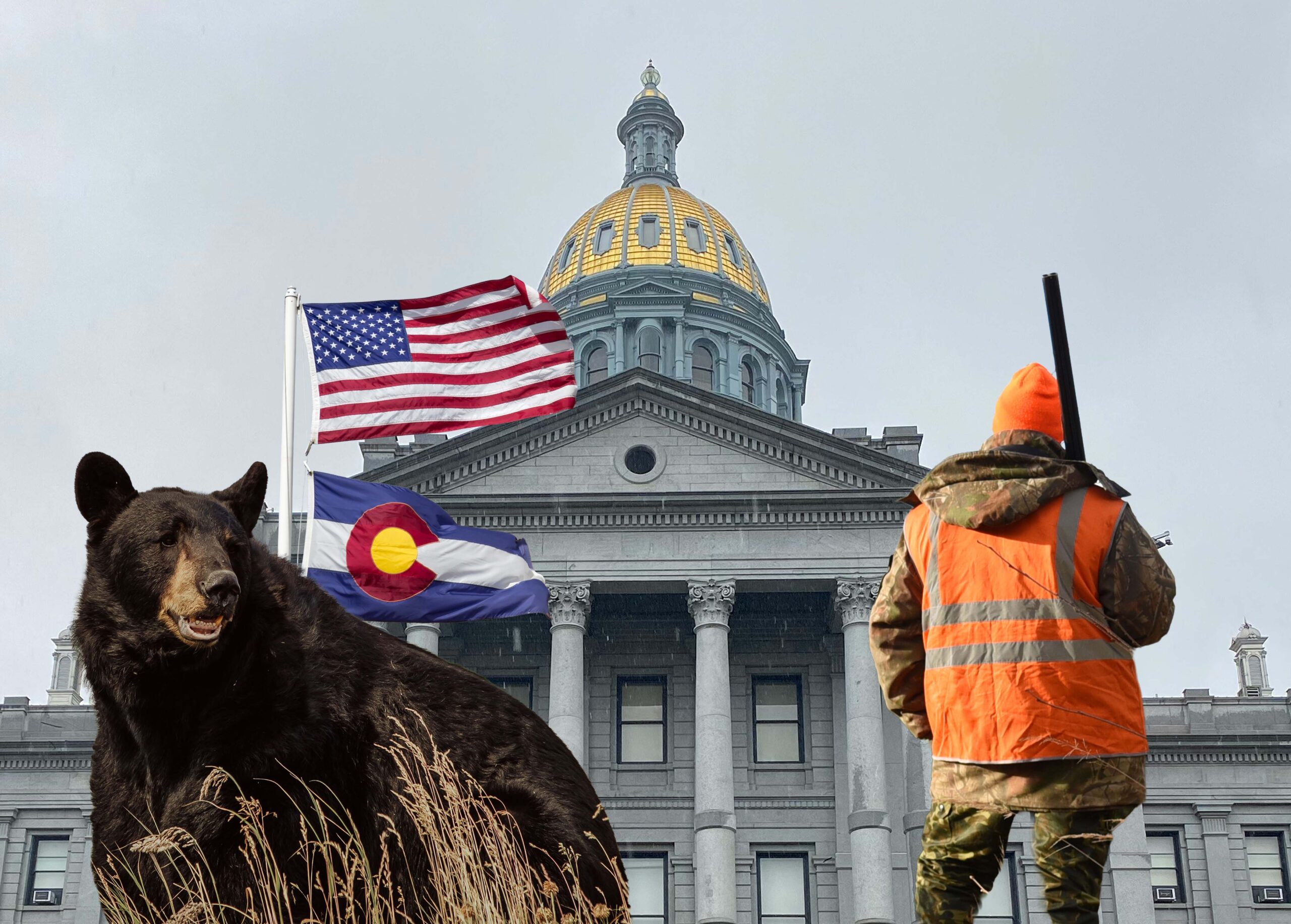 courts--bear-hunter0iStock-1369765555