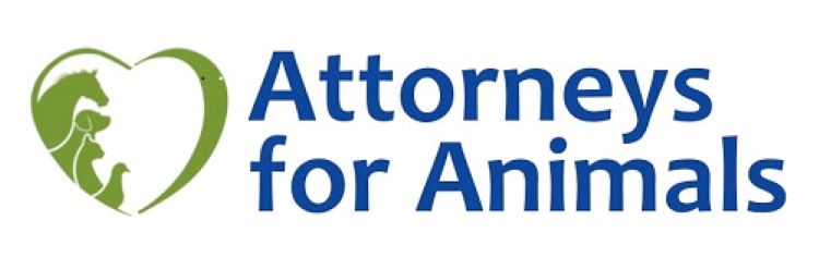 AFA Logo - FINAL_090815 - Copy
