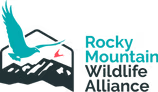 rmwa-color-dark-logomark+text